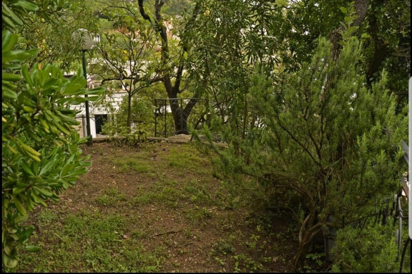 Nerina Apartment Petrovac Luaran gambar